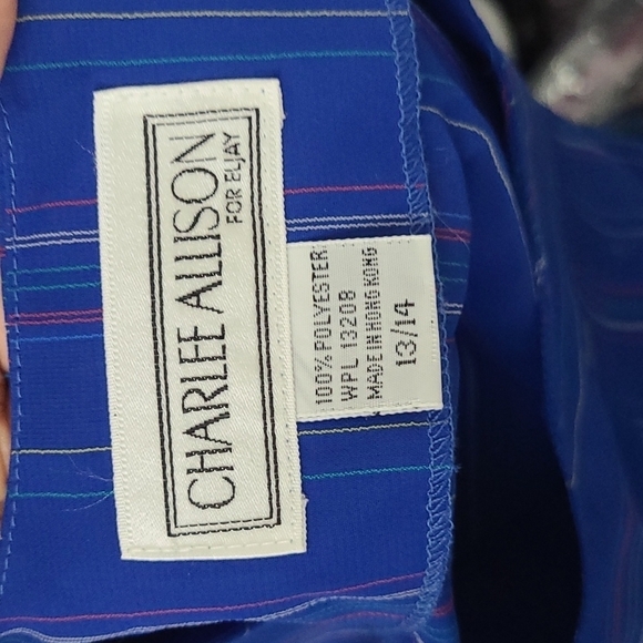 Vintage New with tags Charlee Allison Dress Sz 13/14 - Picture 3 of 3